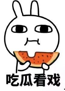 娱乐吃瓜酱头撞枕头,吃瓜酱头撞枕头的惊险瞬间